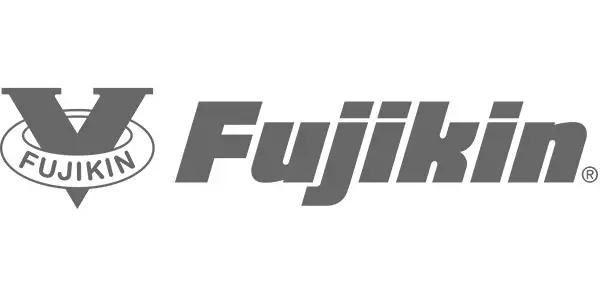 Logo mit dem Wort „Fujikin“ in stilisierter grauer Schrift. Links ist ein Design des Buchstabens „V“ mit „FUJIKIN“ in einem Kreis oben zu sehen. Das gesamte Design ist monochromatisch in Grau gehalten, perfekt für elegante Webdesigns in Düsseldorf oder ein WordPress-Website-Thema.
